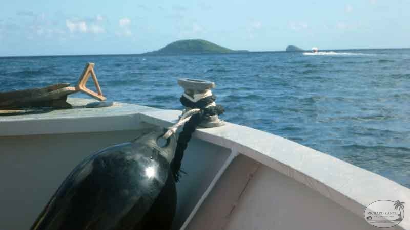 journee-nettoyage20.jpg