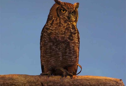 salon-de-la-photo-Z012