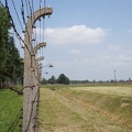 Auschwitz-Birkenau-24