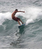 surfeur16