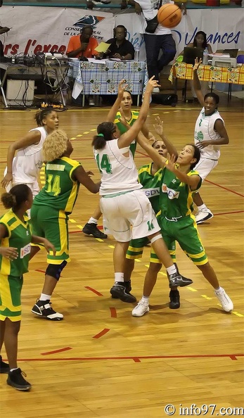 basket2010-feminine24.jpg