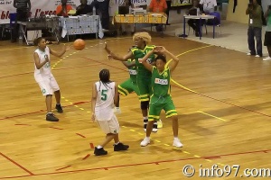 basket2010-feminine28
