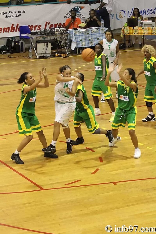 basket2010-feminine33.jpg