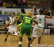 basket2010-feminine8