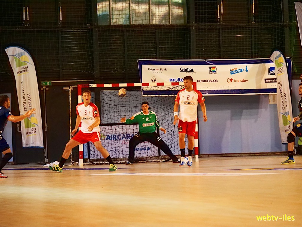 handball-france-danemark034.jpg
