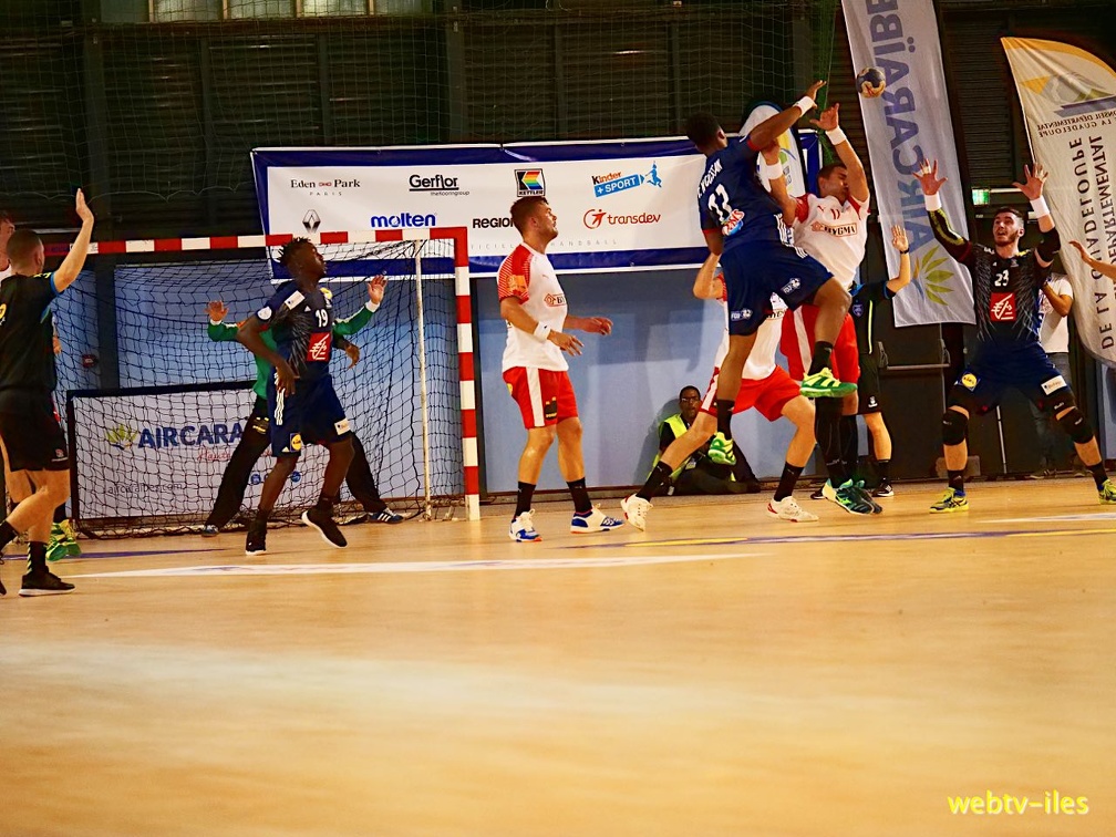 handball-france-danemark037.jpg
