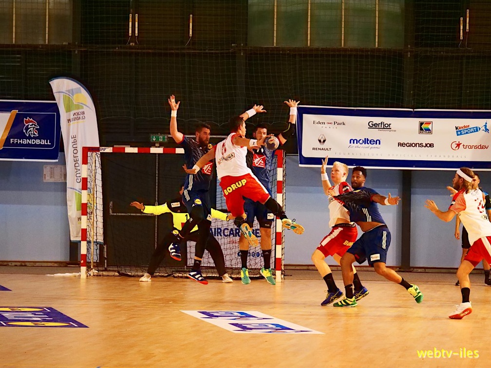 handball-france-danemark066.jpg