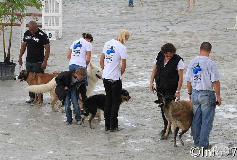 manifestation-canine38.jpg
