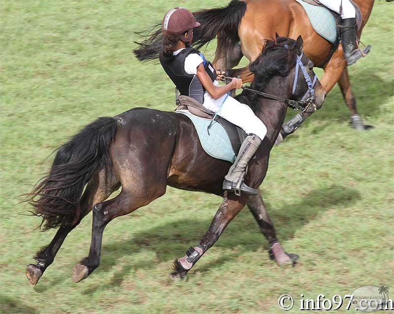 course-galleria1.jpg