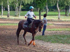 gentlemen-riders6