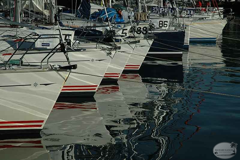 triskell2007-8.jpg