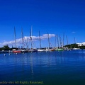 marina-route-du-rhum2018075.jpg