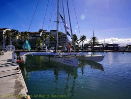 marina-route-du-rhum2018082