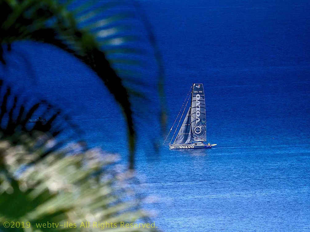 marina-route-du-rhum2018095.jpg