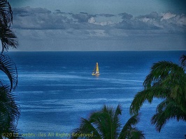 marina-route-du-rhum2018102