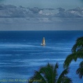 marina-route-du-rhum2018102.jpg