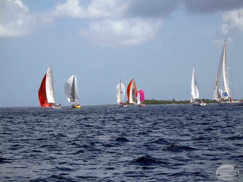 tour-voile-guadeloupe26.jpg