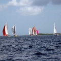 tour-voile-guadeloupe26