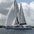 tour-voile-guadeloupe29