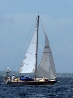 tour-voile-guadeloupe35