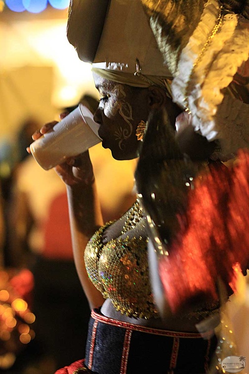 carnaval-basse-terre2013-24.jpg