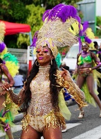 carnaval-basse-terre-2019022