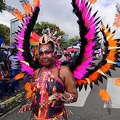 carnaval-basse-terre-2019075.jpg