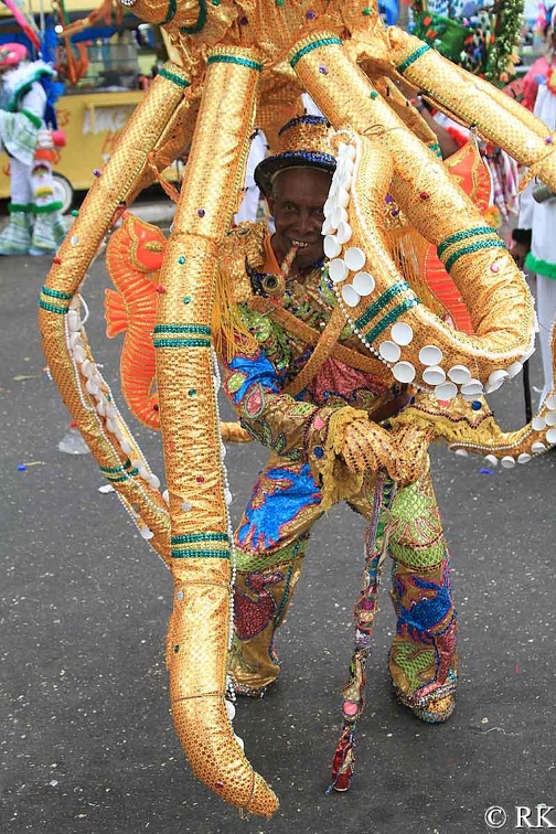 costume-trinidad10.jpg