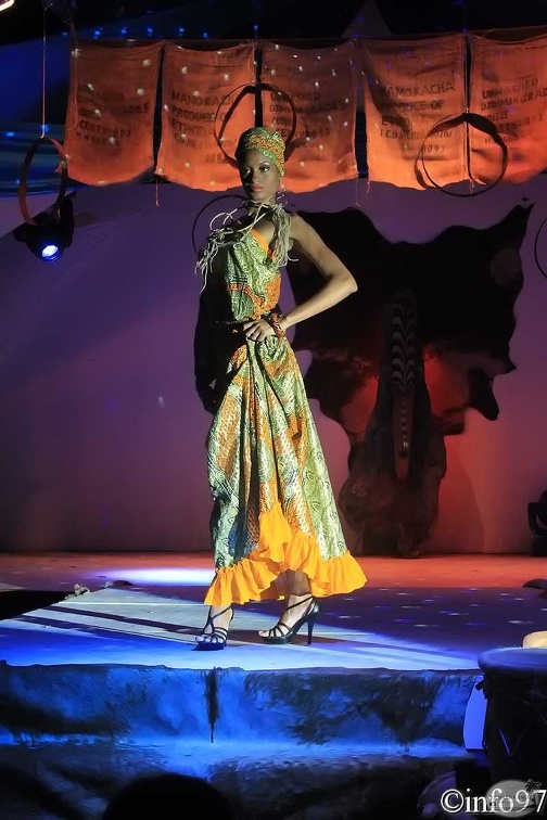 hibiscus2011-robe23.jpg