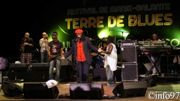 terre-de-blues-artiste6-25