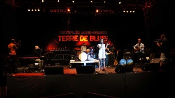 terr-de-blues-2012-artiste2-148