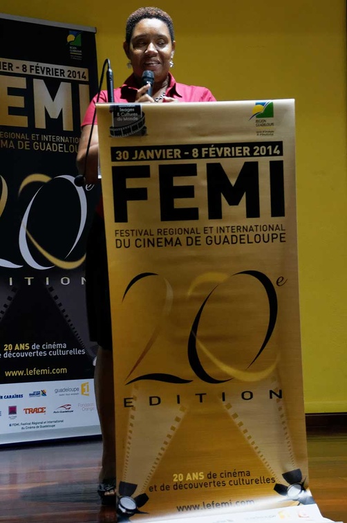 femi-2014-25.jpg