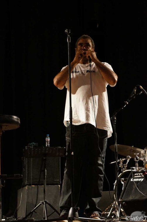 festival-jazz-harmonicas2.jpg