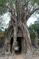 DSC05266grand-circuit-angkor