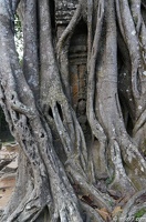 DSC05267grand-circuit-angkor