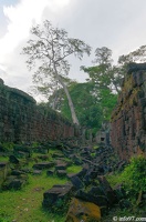 DSC05312grand-circuit-angkor