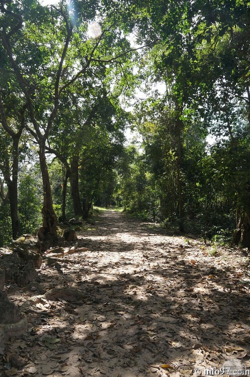 DSC05108petit-circuit-angkor.jpg