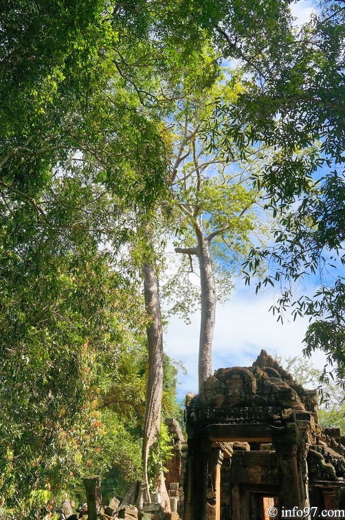 DSC05134petit-circuit-angkor.jpg