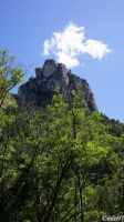 gorges-du-tarn-12