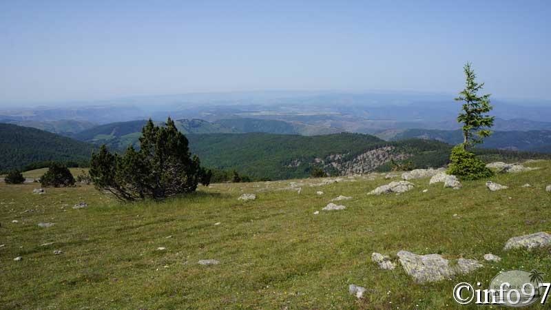 mont-aigoual-1.jpg