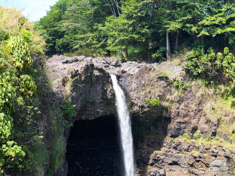 P1010033-Hilo.jpg
