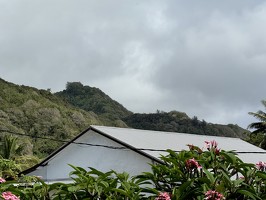 IMG 2903-rarotonga-NZ