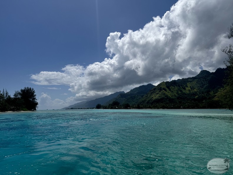 IMG_3292-Moorea.jpg