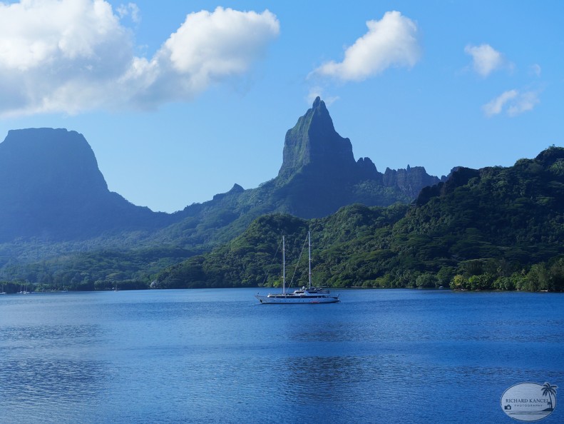 P1010298-Moorea.jpg