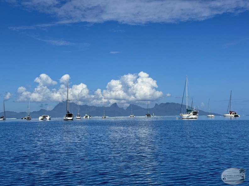 IMG_3407-Papeete.jpg
