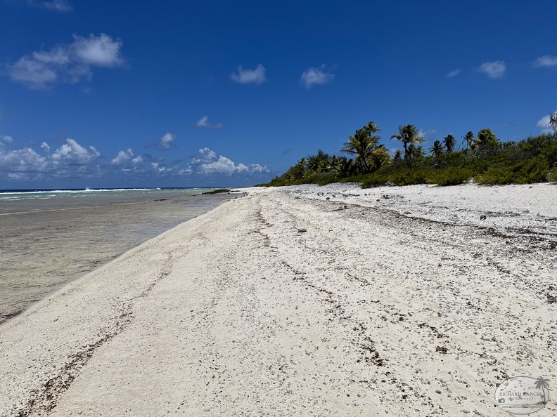 DJI_20251109_121953_779-Rangiroa.jpg