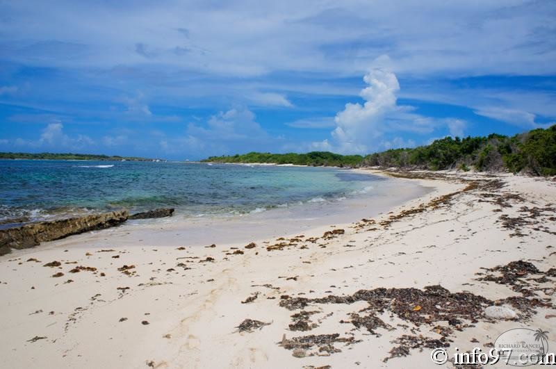 DSC05928-Petite-Terre.jpg