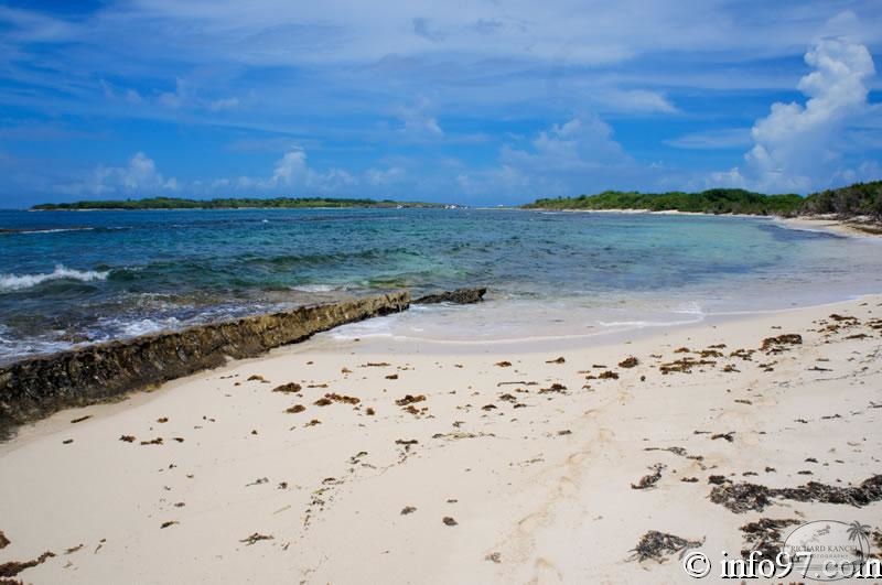 DSC05929-Petite-Terre.jpg