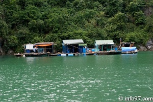 DSC02138baie-halong