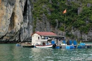 DSC02143baie-halong